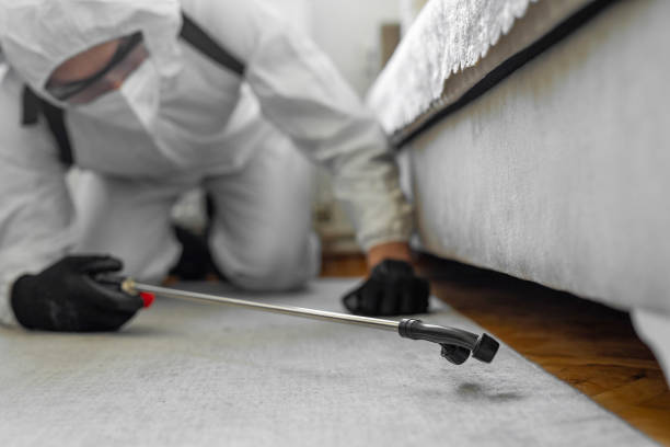 Professional Ant Control technician working in Belcourt, ND